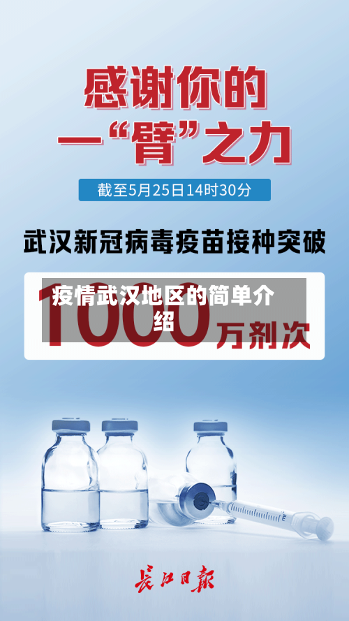 疫情武汉地区的简单介绍-第3张图片