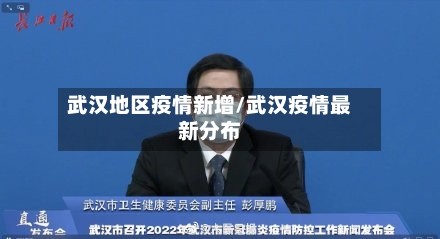 武汉地区疫情新增/武汉疫情最新分布