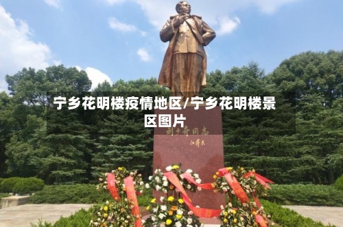 宁乡花明楼疫情地区/宁乡花明楼景区图片-第2张图片