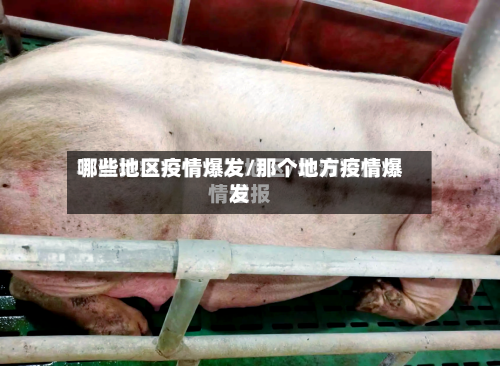 哪些地区疫情爆发/那个地方疫情爆发-第2张图片