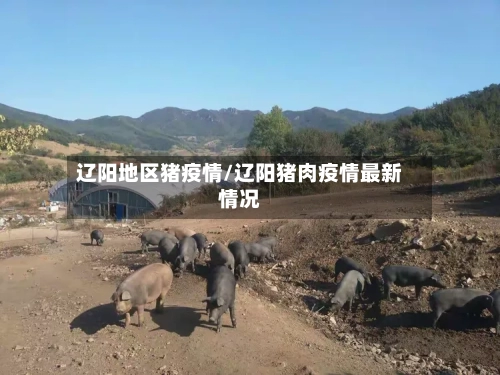 辽阳地区猪疫情/辽阳猪肉疫情最新情况