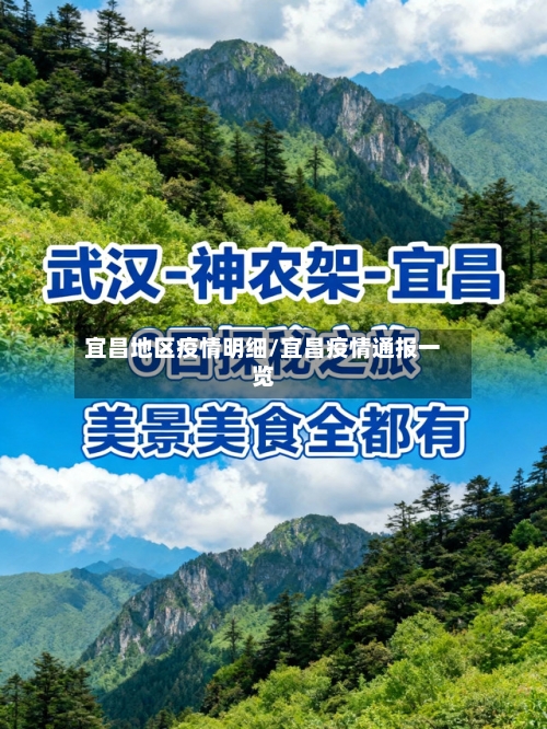 宜昌地区疫情明细/宜昌疫情通报一览-第2张图片