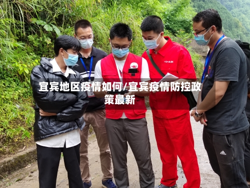 宜宾地区疫情如何/宜宾疫情防控政策最新-第3张图片