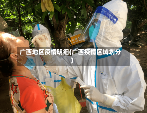 广西地区疫情明细(广西疫情区域划分)-第2张图片