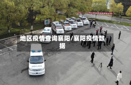 地区疫情查询襄阳/襄阳疫情数据-第3张图片