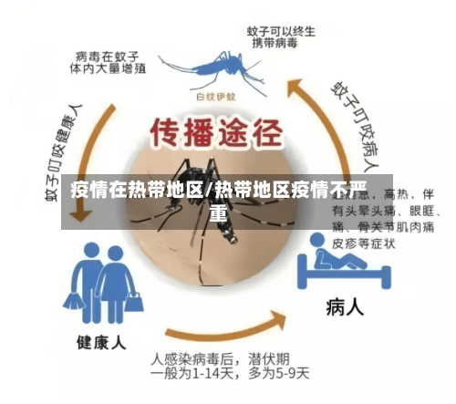疫情在热带地区/热带地区疫情不严重