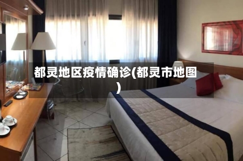 都灵地区疫情确诊(都灵市地图)