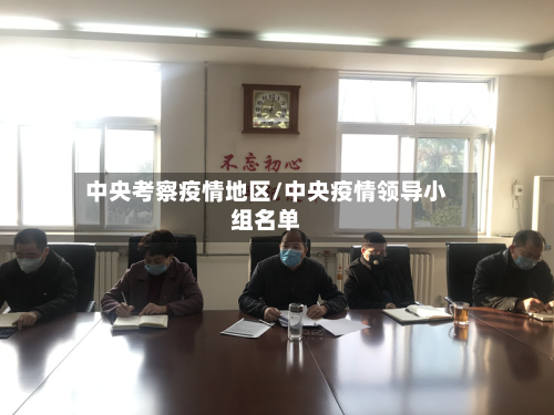 中央考察疫情地区/中央疫情领导小组名单