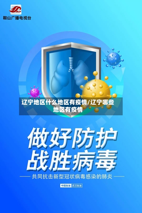 辽宁地区什么地区有疫情/辽宁哪些地区有疫情