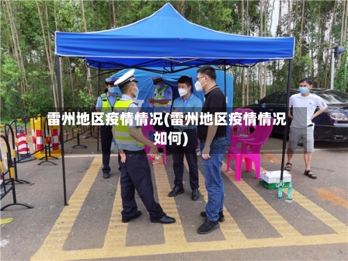 雷州地区疫情情况(雷州地区疫情情况如何)