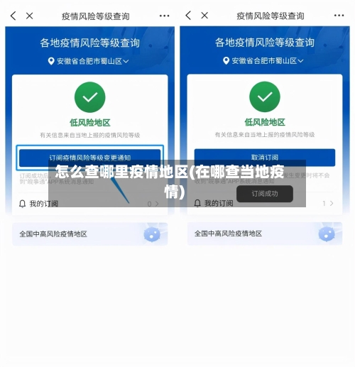 怎么查哪里疫情地区(在哪查当地疫情)-第3张图片