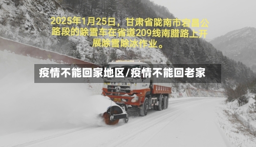 疫情不能回家地区/疫情不能回老家-第3张图片
