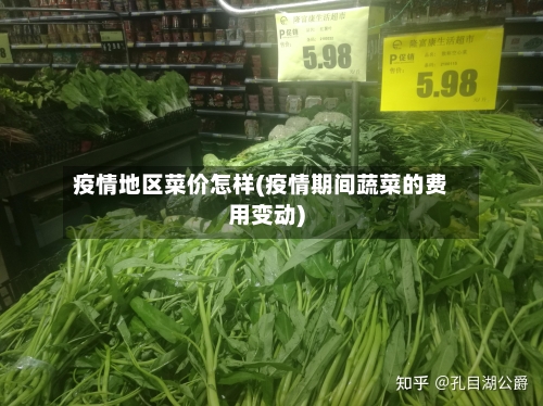 疫情地区菜价怎样(疫情期间蔬菜的费用变动)-第2张图片