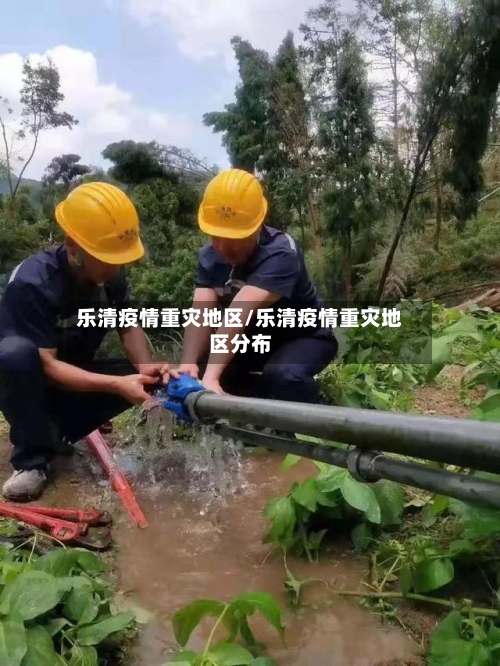 乐清疫情重灾地区/乐清疫情重灾地区分布-第2张图片