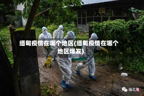 缅甸疫情在哪个地区(缅甸疫情在哪个地区爆发)