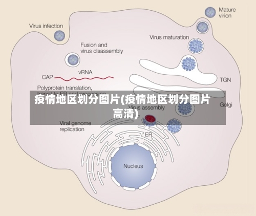 疫情地区划分图片(疫情地区划分图片高清)-第3张图片