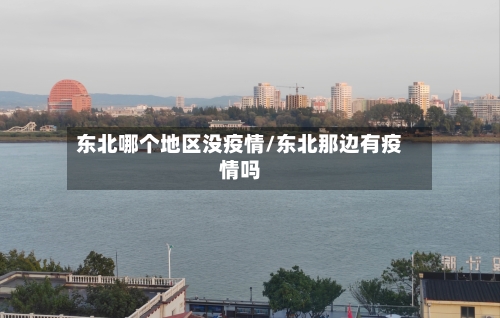 东北哪个地区没疫情/东北那边有疫情吗-第3张图片