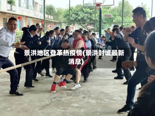 景洪地区登革热疫情(景洪封城最新消息)-第3张图片