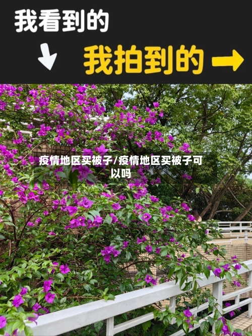 疫情地区买被子/疫情地区买被子可以吗