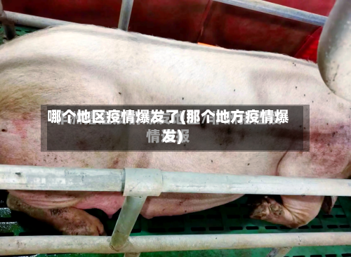 哪个地区疫情爆发了(那个地方疫情爆发)-第3张图片